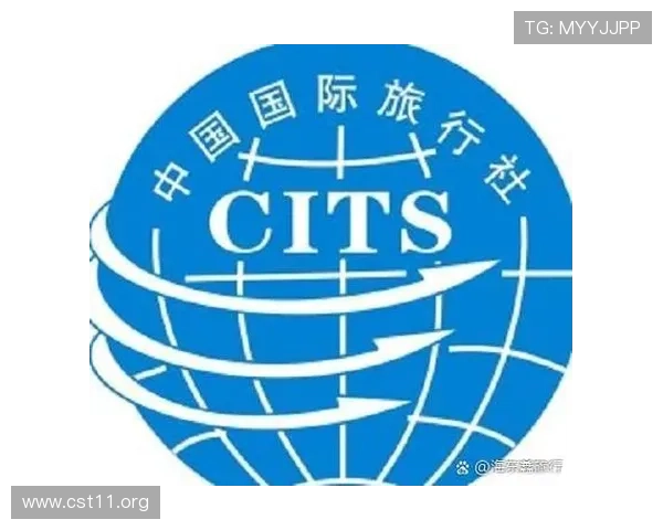 全面介绍金界旅行社的特色与服务优势
